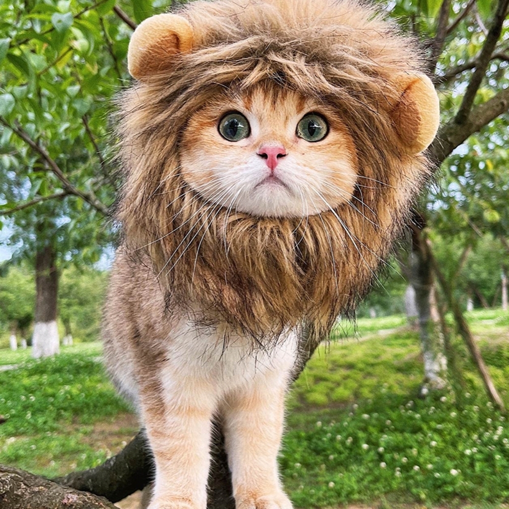 Lion Mane Costume for Cats - Brown